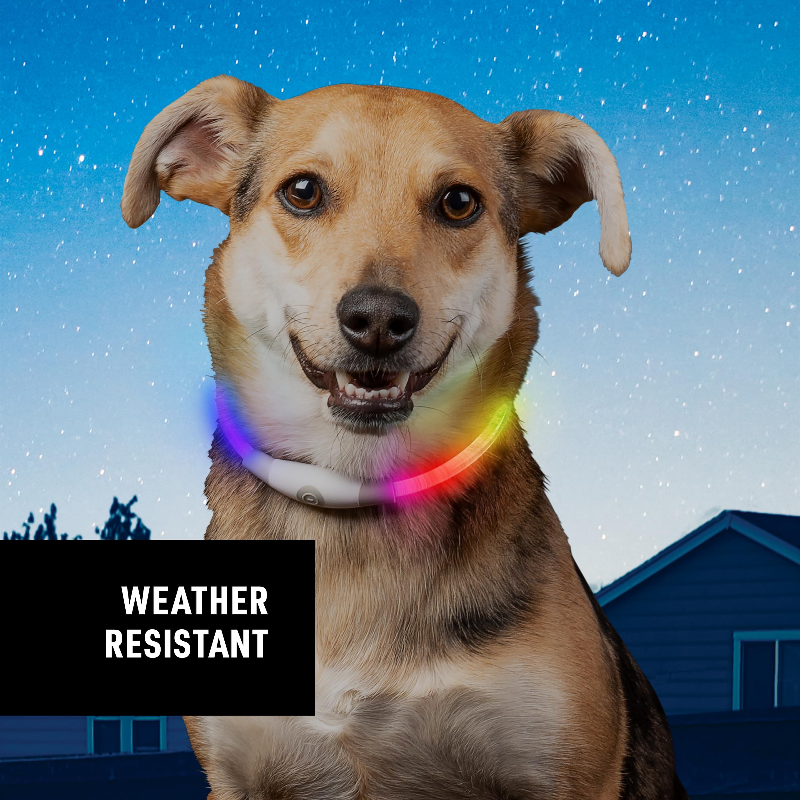Foto 8 pulgar | Collar De Seguridad Led Nite Ize Nitehowl Mini Para Perros - Venta Internacional.