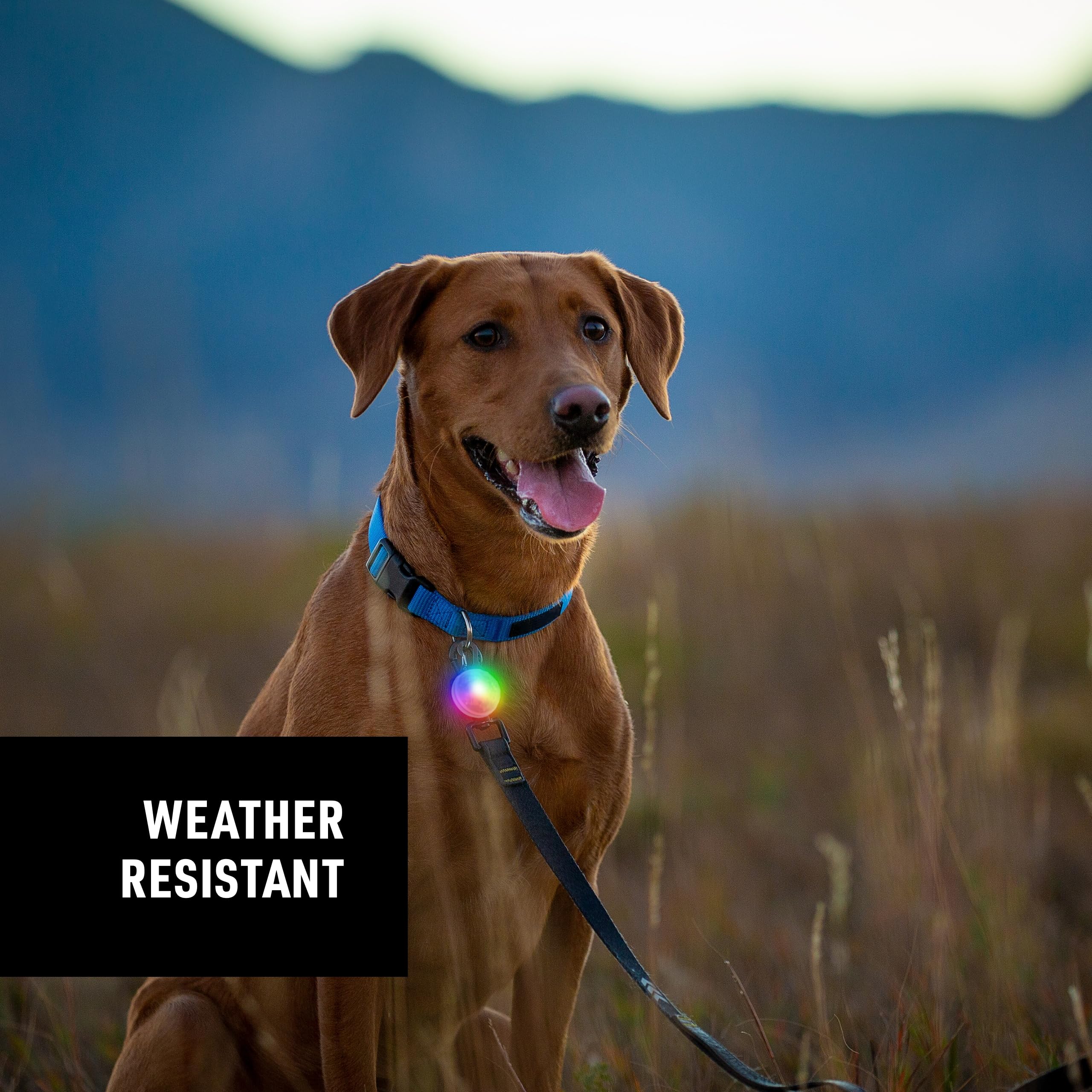 Foto 4 | Collar Light Nite Ize Spotlit Recargable Con Mosquetón Disco - Venta Internacional.
