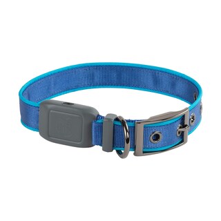 Foto 1 | Collar para Perro Nite Ize - Venta Internacional