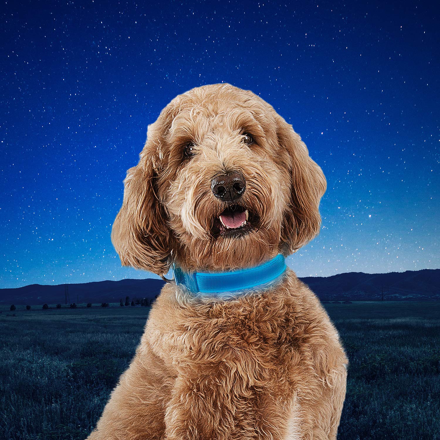 Foto 8 pulgar | Collar para Perro Nite Ize  - Venta Internacional