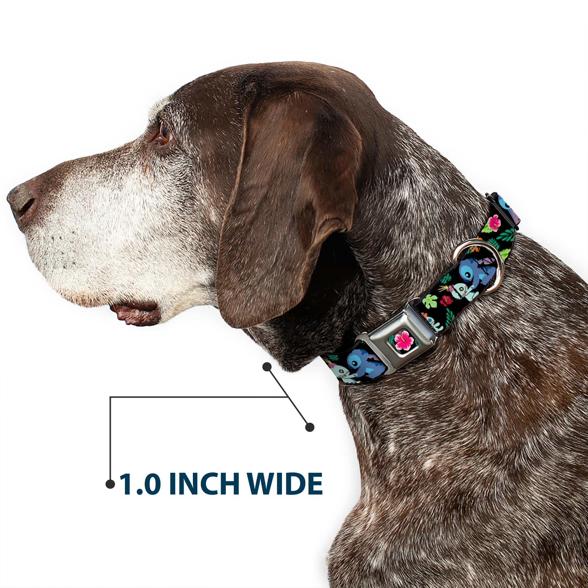 Foto 7 pulgar | Collar Para Mascotas Con Hebilla Disney Stitch Scrump Tropical Flora - Venta Internacional.