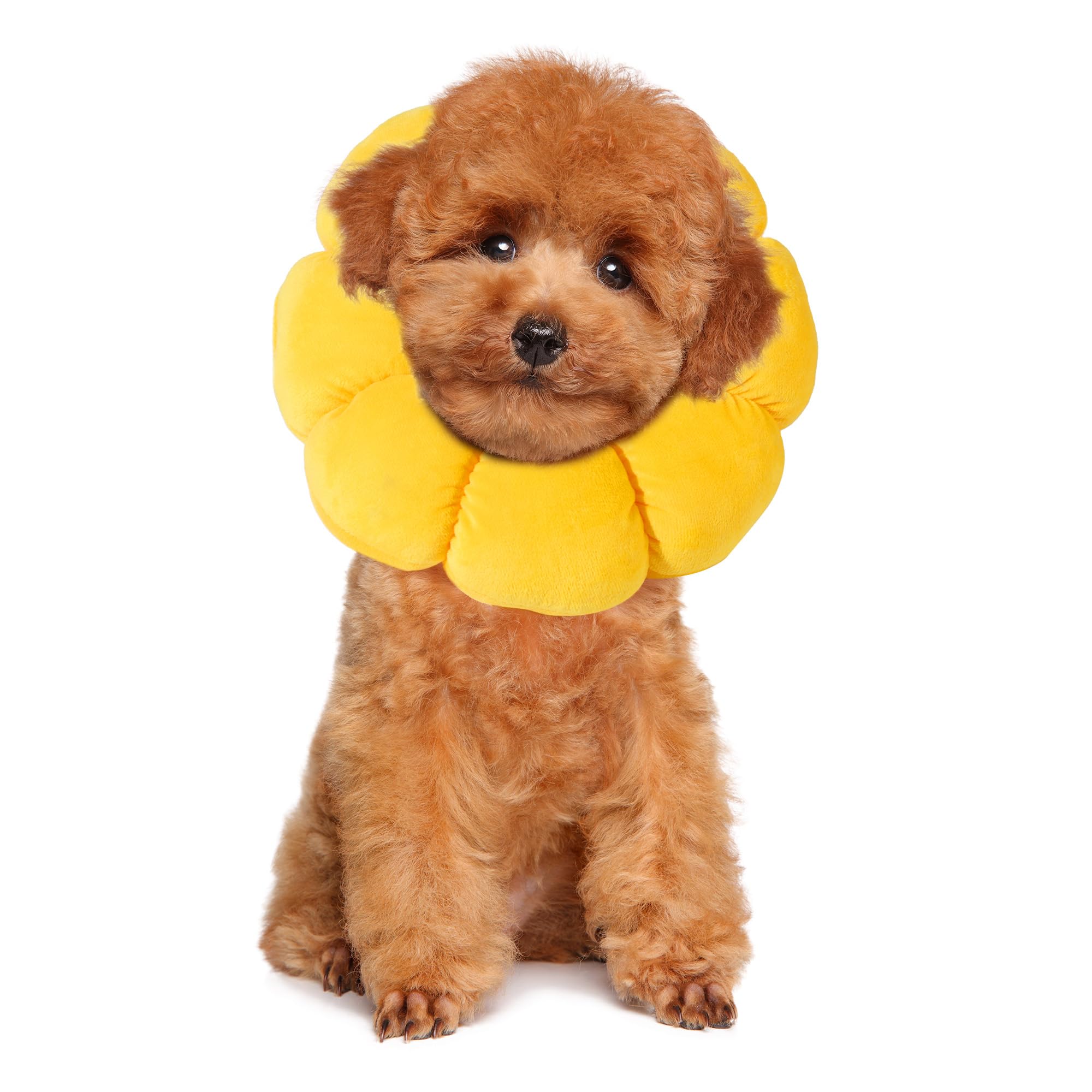 Foto 2 pulgar | Soft Dog Cone Hombys Para Perros Y Gatos Con Forma De Flor Xxxl - Venta Internacional.