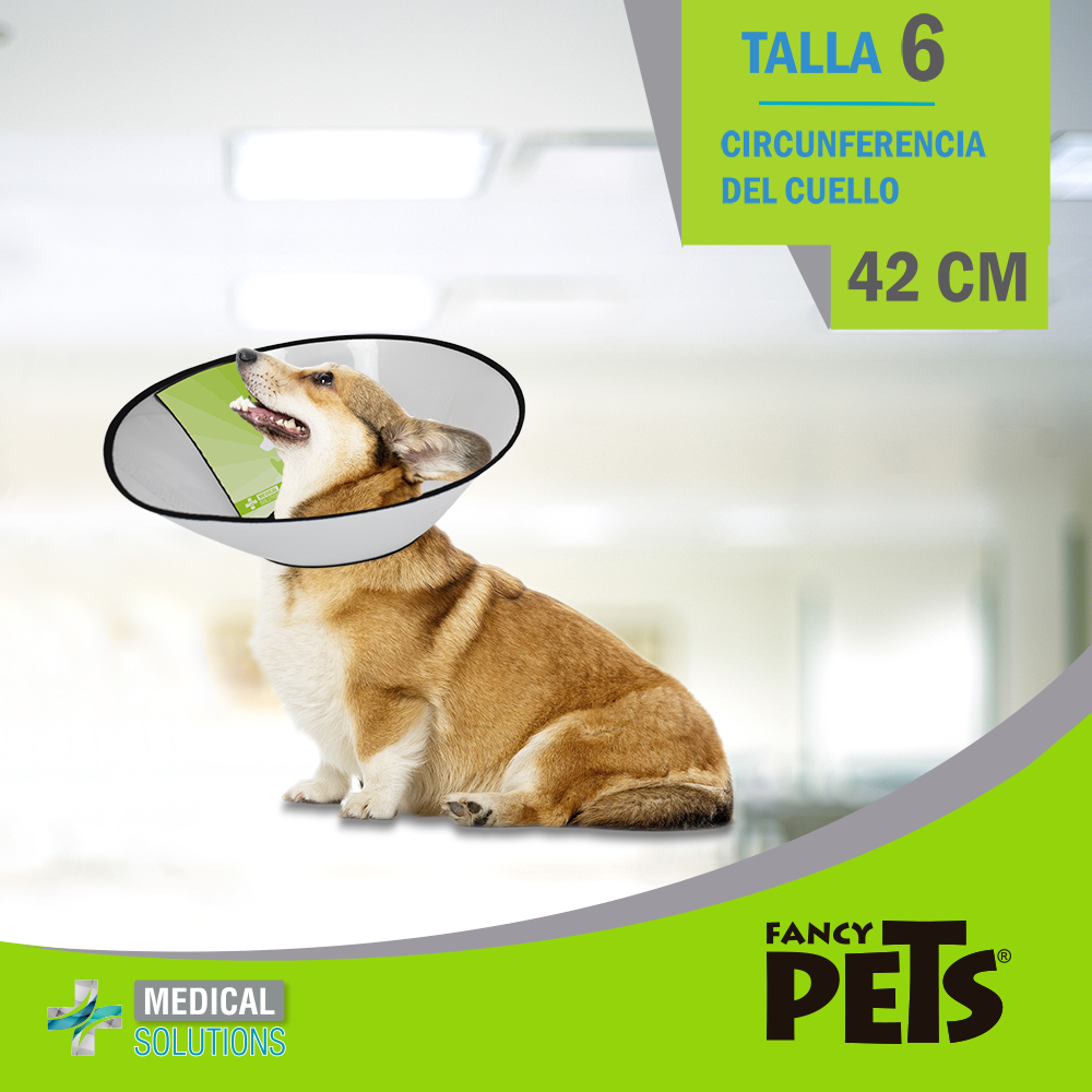Foto 5 pulgar | Medical Solution Isabelino Para Perro Talla 6 Con 42 Centímetros