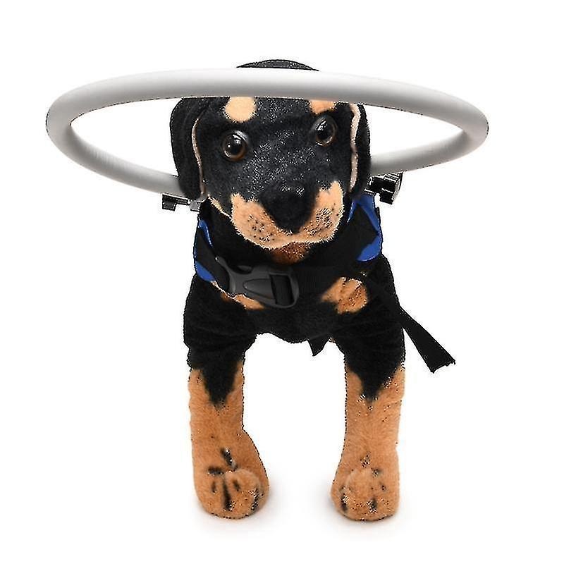 Foto 6 pulgar | Arnés Para Perros Ciegos, Dispositivo De Guía, Seguro Para Mascotas, Halo Para Perros Ciegos - Venta Internacional.
