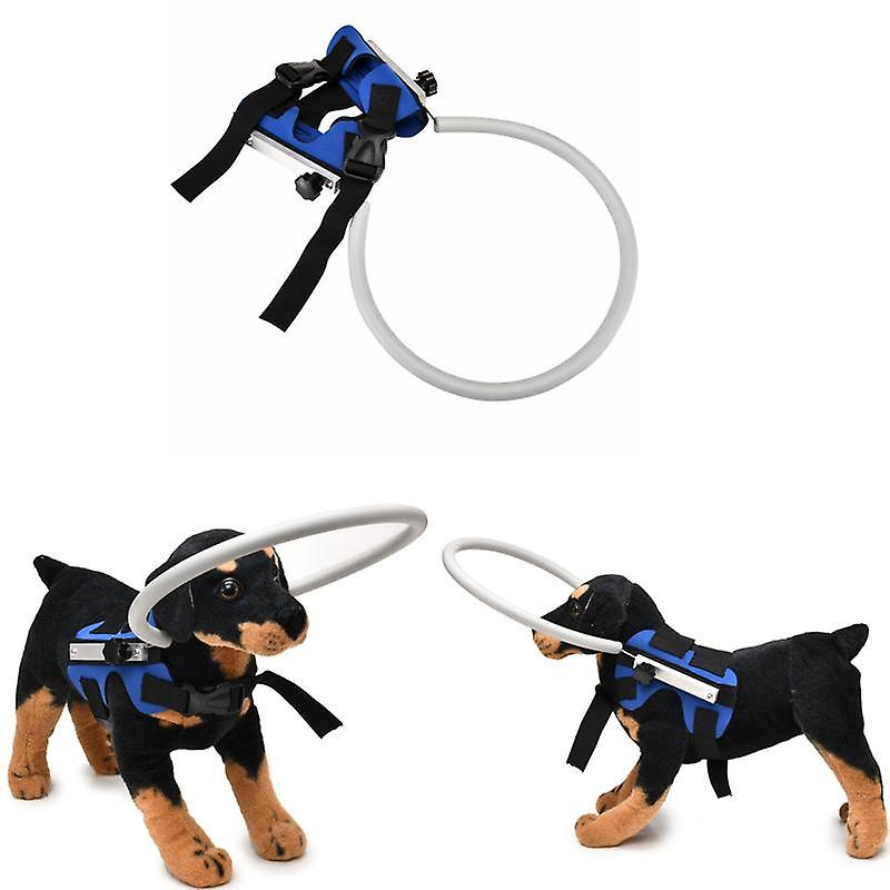 Arnés Para Perros Ciegos, Dispositivo De Guía, Seguro Para Mascotas, Halo Blue - Venta Internacional.