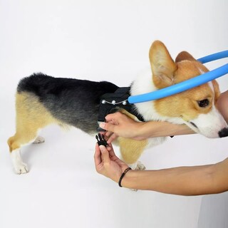 Foto 2 | Arnés Anticolisión Protector Para Perros Ciegos Talla Xs