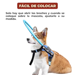 Foto 3 | Arnés Anticolisión Protector Para Perros Ciegos Talla Xs