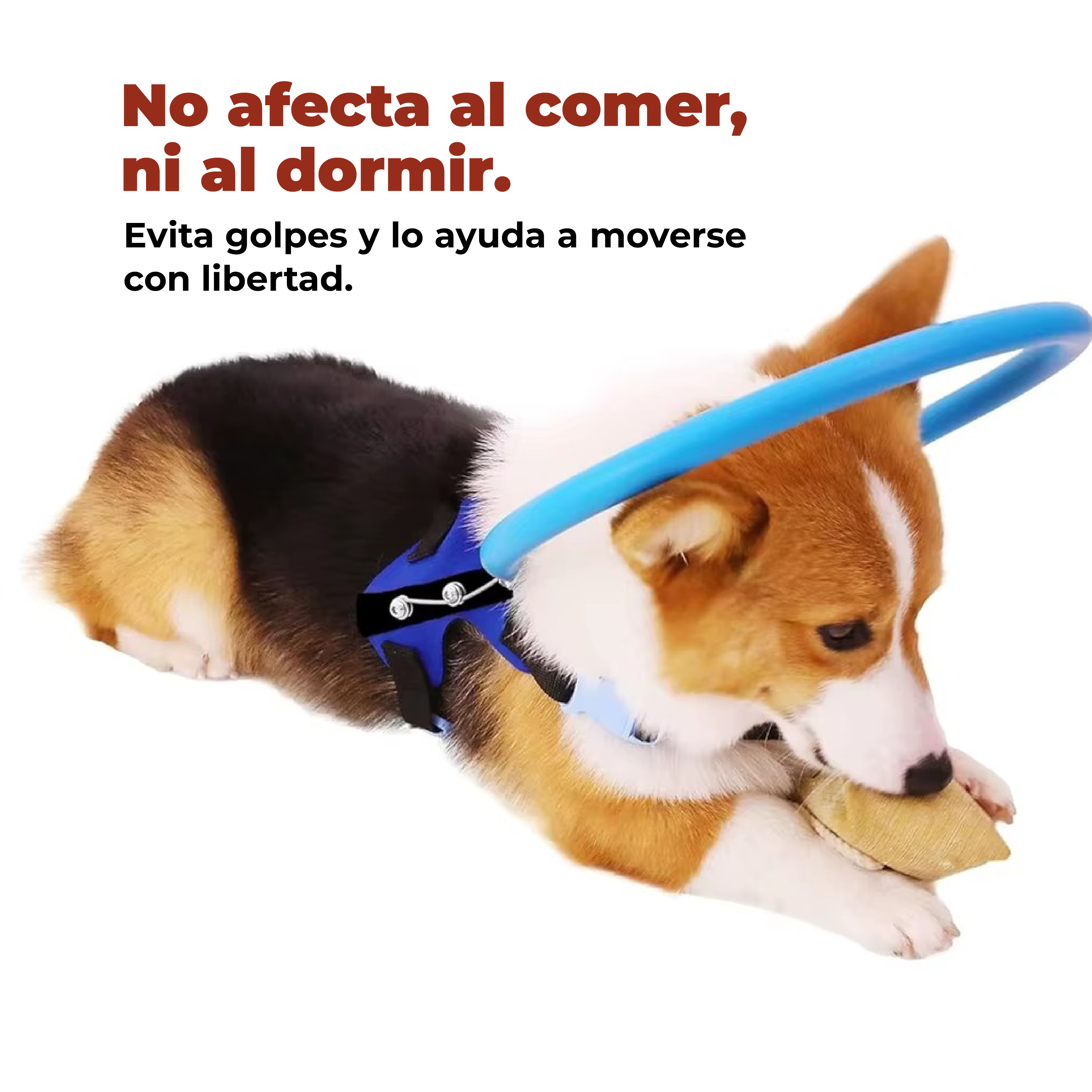 Foto 5 pulgar | Arnés Anticolisión Protector Para Perros Ciegos Talla Xs