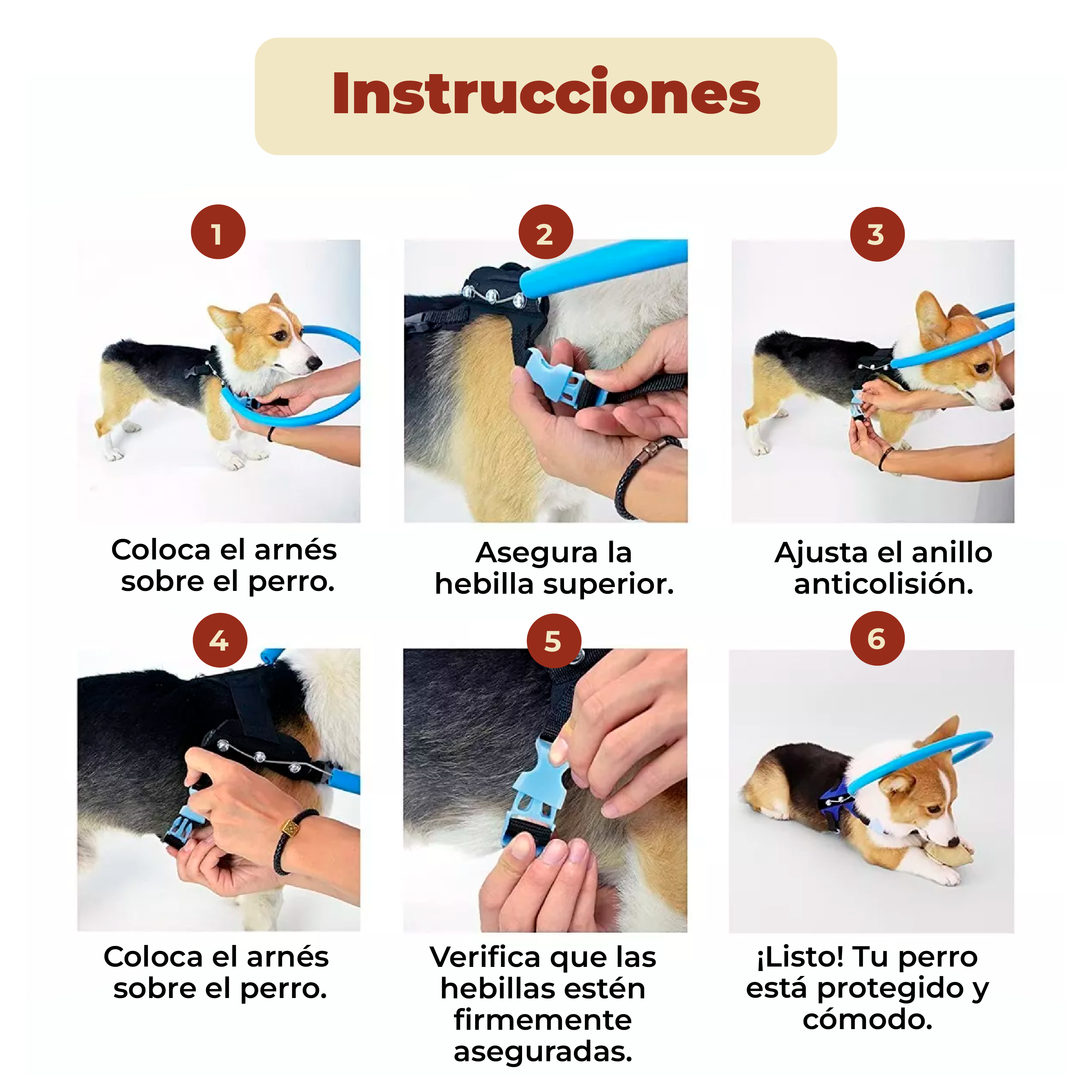 Foto 8 pulgar | Arnés Anticolisión Protector Para Perros Ciegos Talla Xs