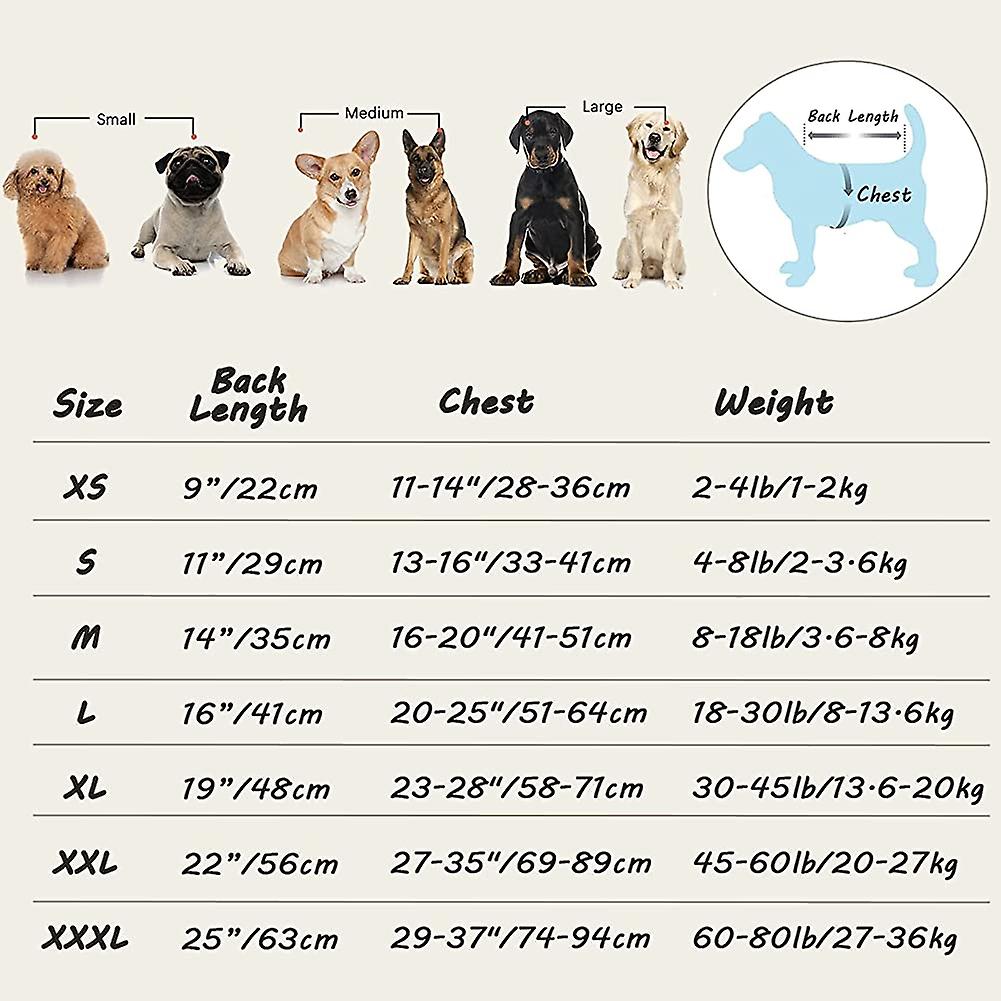 Foto 2 | Traje De Recuperación Quirúrgica Para Perros Huoguo Anti-lick Xs-3xl - Venta Internacional.
