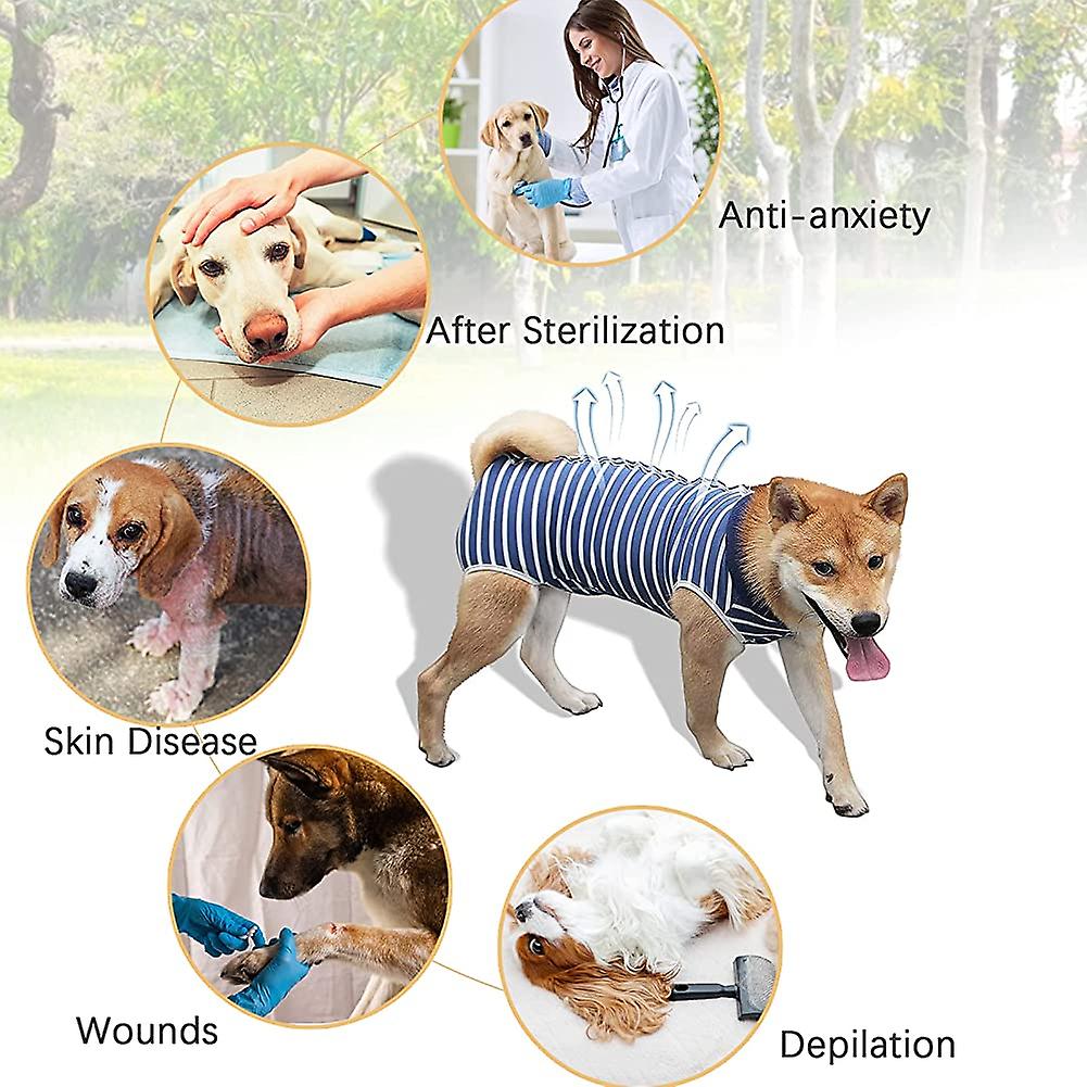 Foto 4 pulgar | Traje De Recuperación Quirúrgica Para Perros Huoguo Anti-lick Xs-3xl - Venta Internacional.