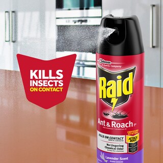 Foto 5 | Spray Insecticida Raid Ant & Roach Con Aroma A Lavanda, 355 Ml - Venta Internacional.