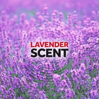 Foto 6 | Spray Insecticida Raid Ant & Roach Con Aroma A Lavanda, 355 Ml - Venta Internacional.
