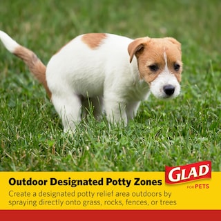 Foto 5 | Spray De Entrenamiento Para Ir Al Baño Glad For Pets, Atrayente, 473 Ml, Cacahuete - Venta Internacional.