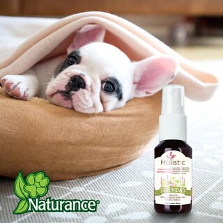 Foto 4 | Naturance Holistic Kit De Aromaterapia De Serenidad Para Perro Con 60 Mililítros