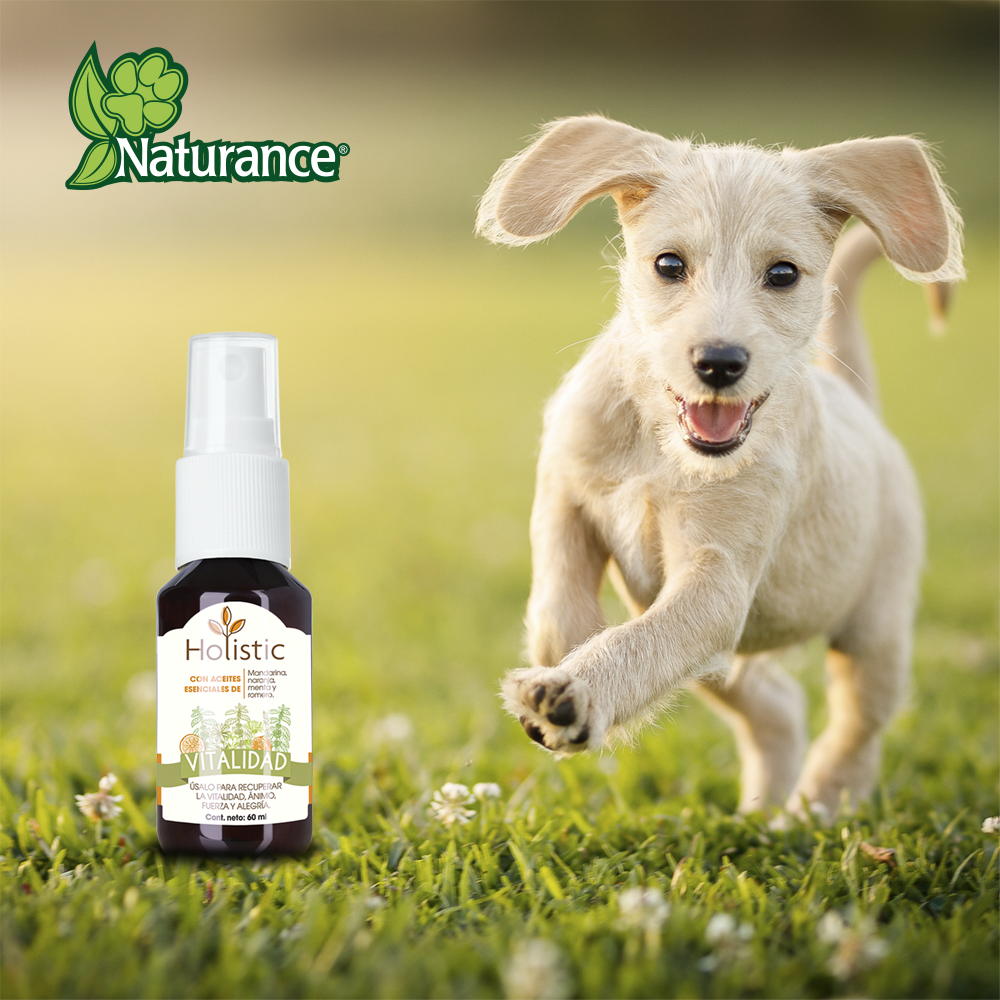 Foto 5 pulgar | Naturance Holistic Kit De Aromaterapia De Vitalidad Para Perro Con 60 Mililítros