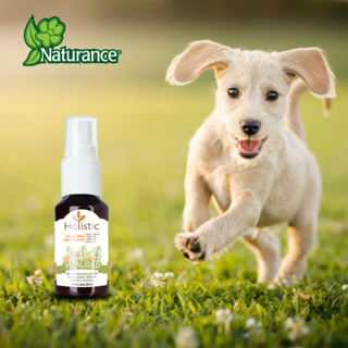 Foto 4 | Naturance Holistic Kit De Aromaterapia De Vitalidad Para Perro Con 60 Mililítros