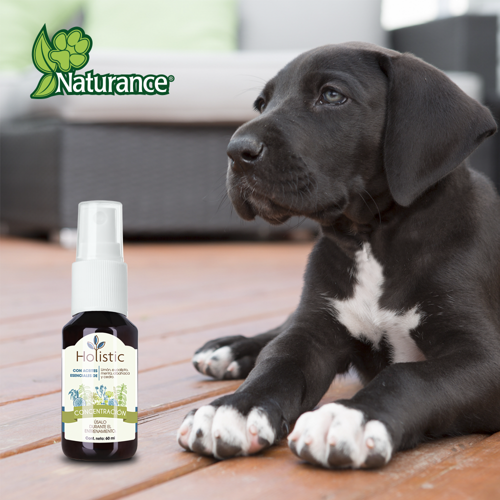Foto 4 | Naturance Holistic Kit De Aromaterapia De Concentración Para Perro Con 60 Mililítros