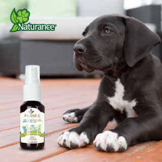 Foto 4 | Naturance Holistic Kit De Aromaterapia De Concentración Para Perro Con 60 Mililítros