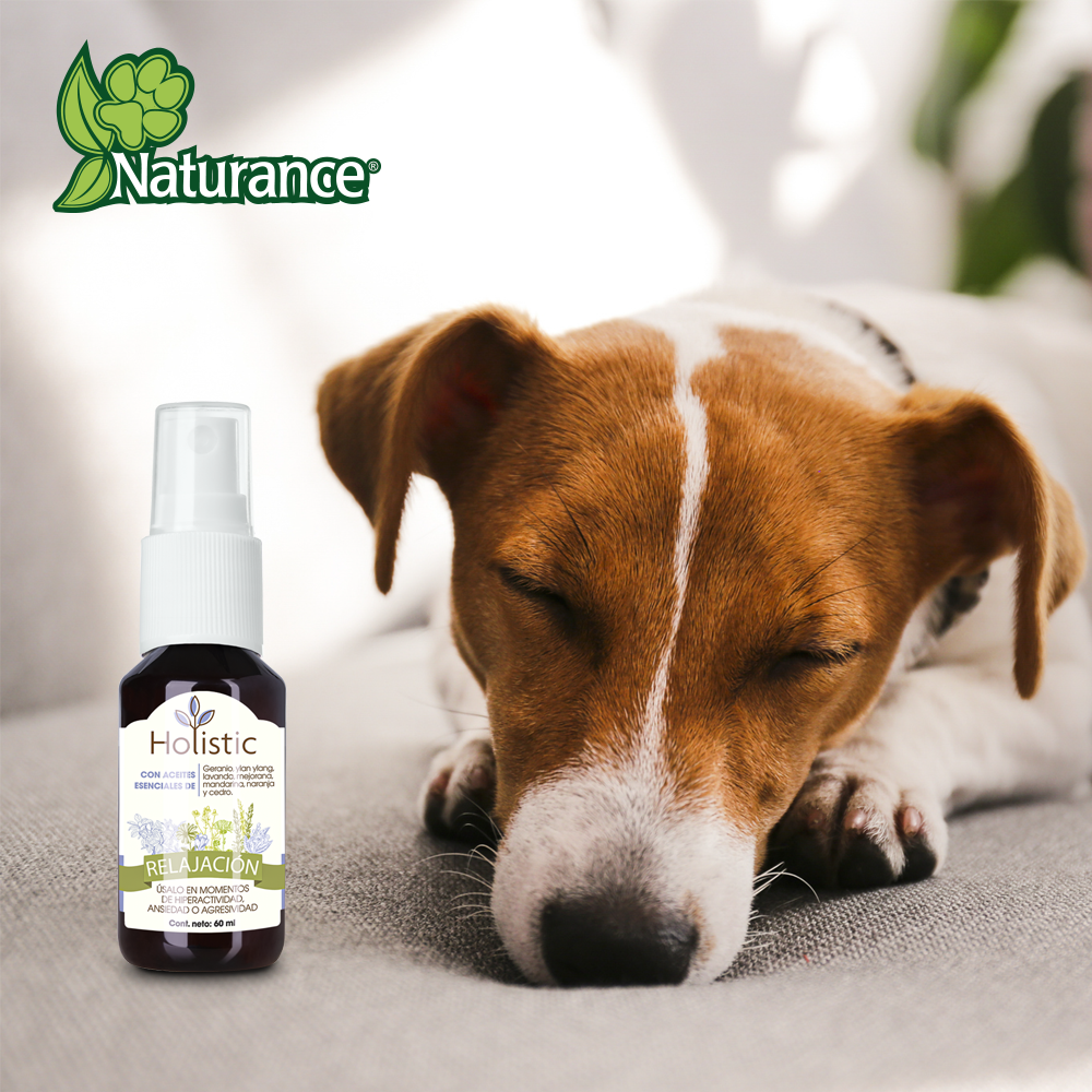 Foto 4 | Naturance Holistic Kit De Aromaterapia De Relajación Para Perro Con 60 Mililítros