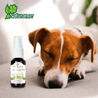 Foto 4 | Naturance Holistic Kit De Aromaterapia De Relajación Para Perro Con 60 Mililítros