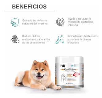 Foto 2 | Probiótico Para Perros En Polvo 90g 2 Piezas