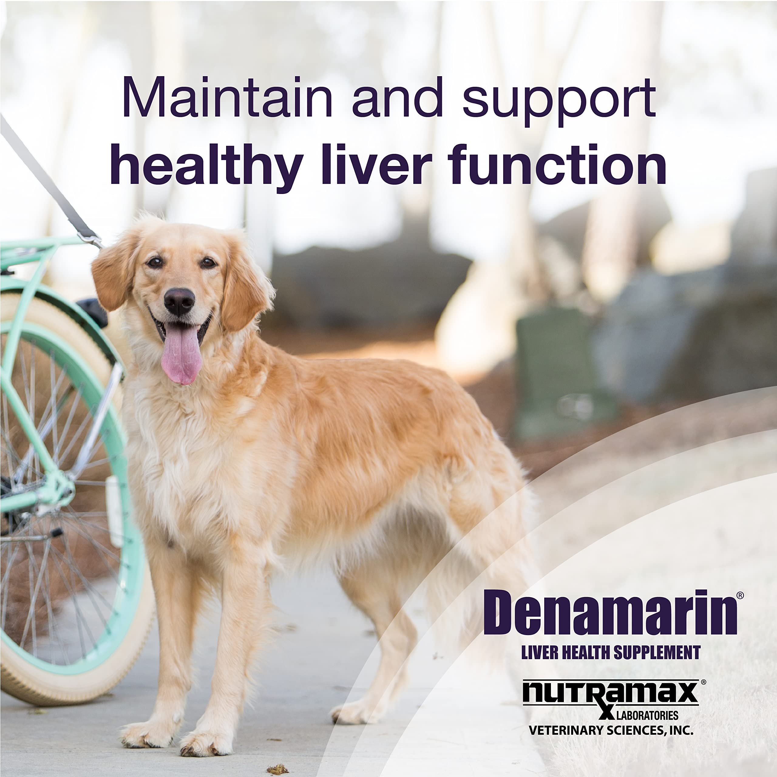 Foto 2 | Suplemento Denamarin Nutramax Laboratories para Perros Grandes - Venta Internacional