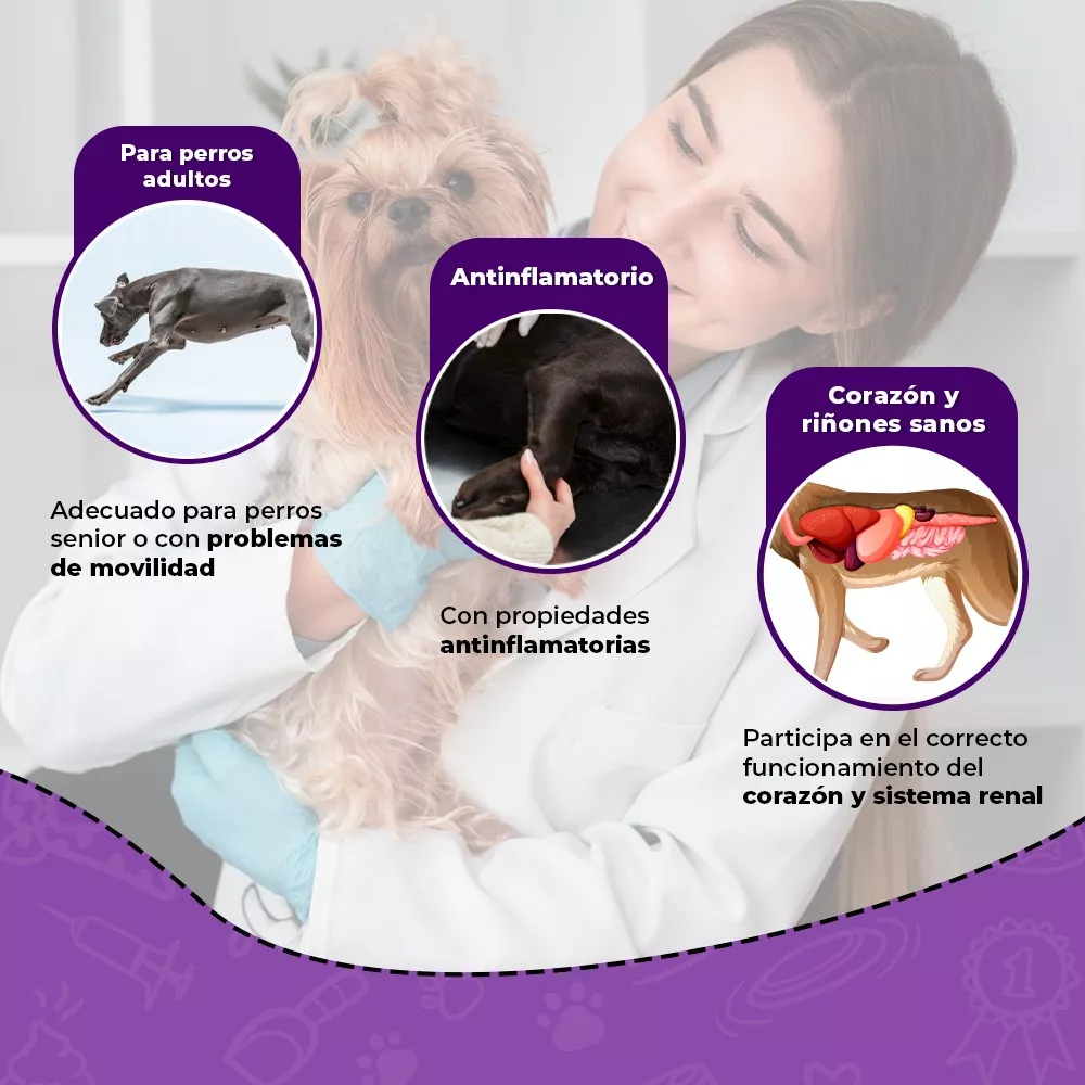 Foto 3 pulgar | Fancy Pets Tabletas Masticables Con Condroitina Y Glucosamina, 60 Tabletas