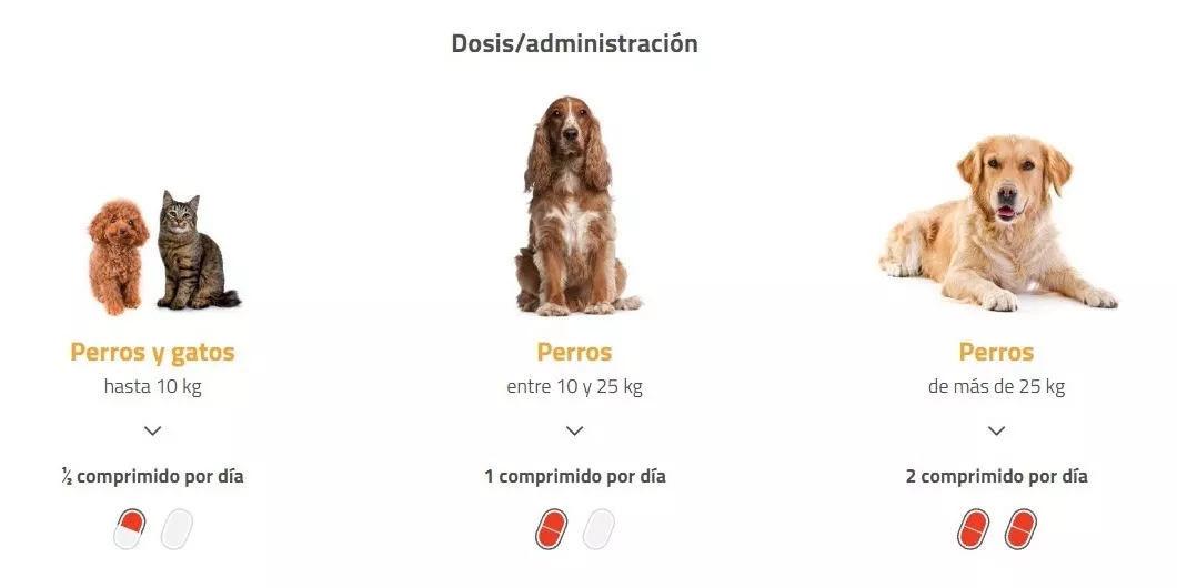 Foto 3 pulgar | Gerioox Suplemento Vitamínico Perro, Gato Senior 30 Tabletas