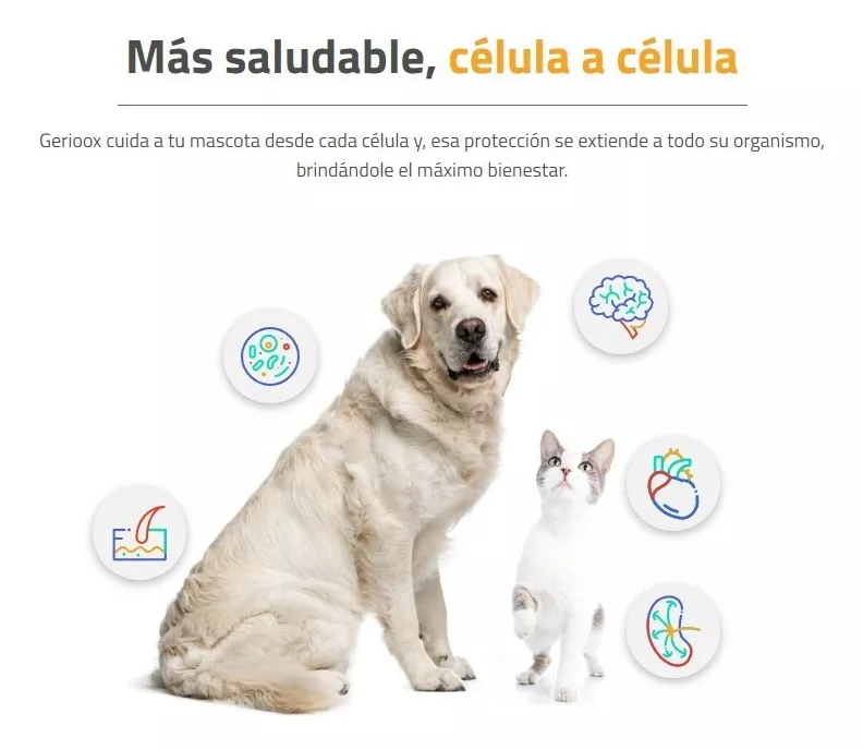 Foto 4 pulgar | Gerioox Suplemento Vitamínico Perro, Gato Senior 30 Tabletas