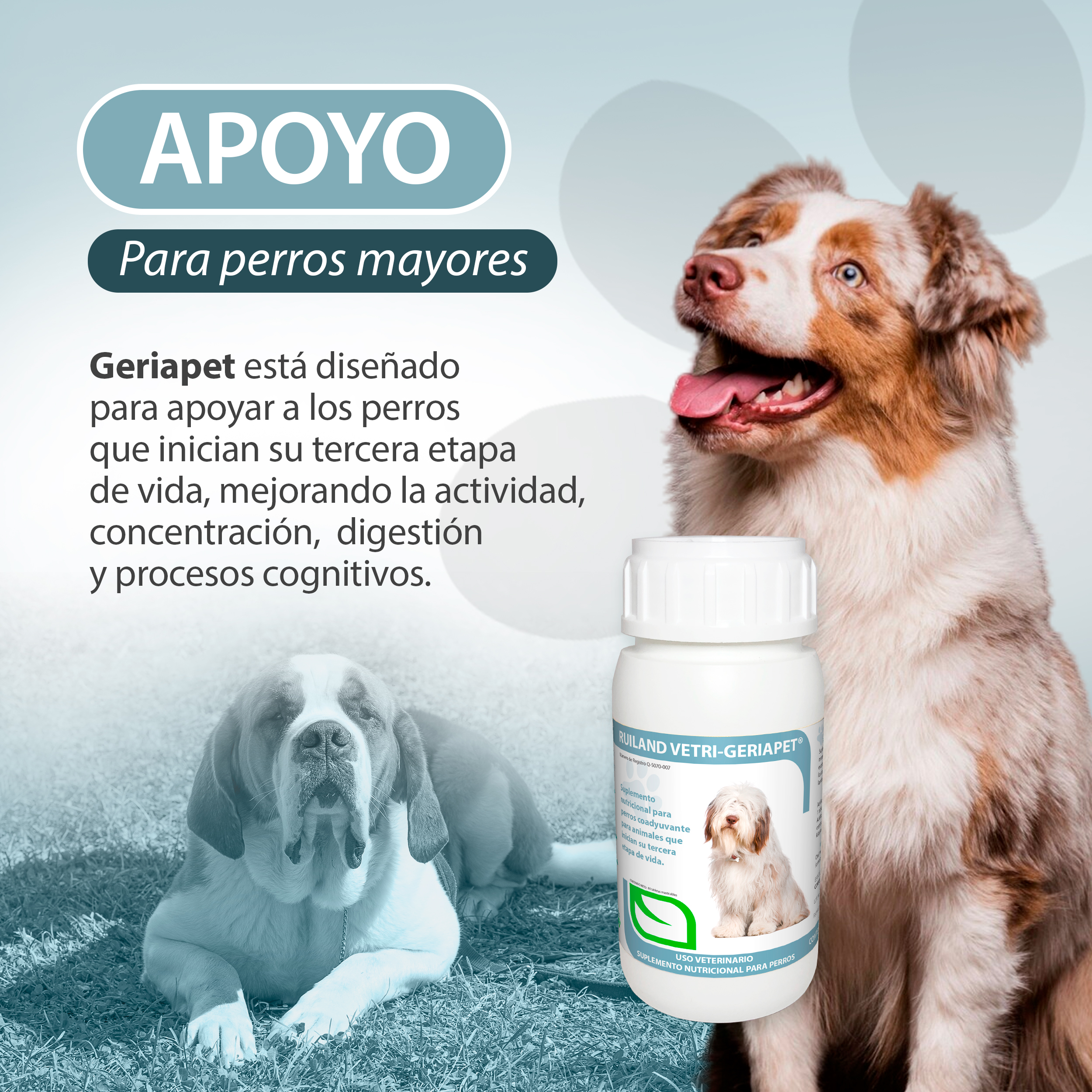 Foto 4 pulgar | Geriapet 60