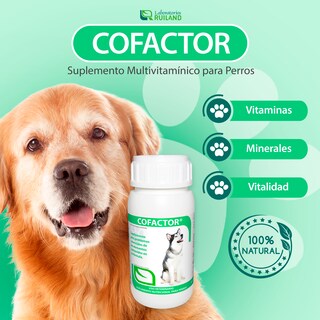 Foto 2 | Cofactor 60