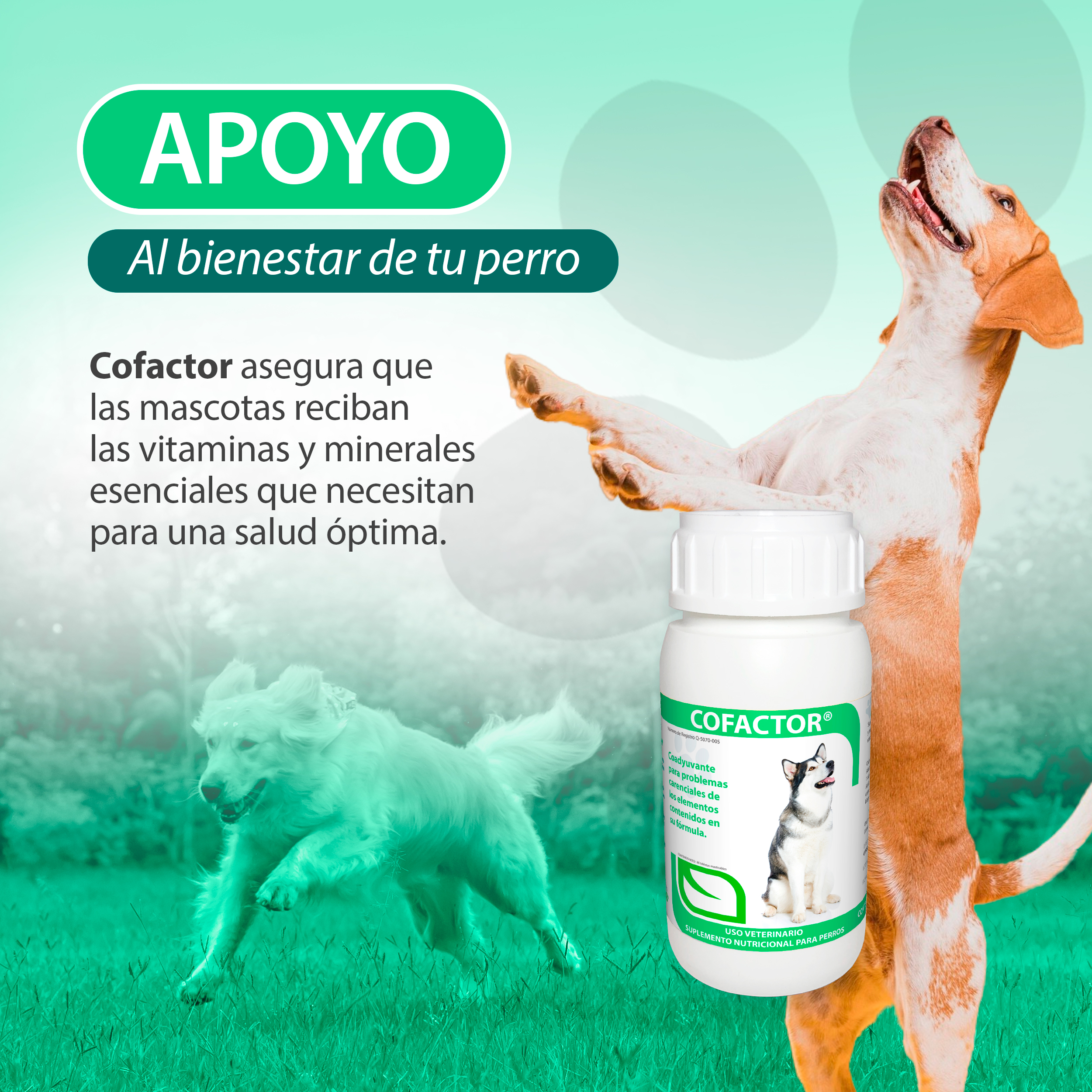 Foto 4 pulgar | Cofactor 60