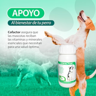Foto 3 | Cofactor 60