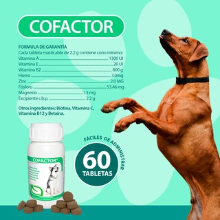 Foto 5 | Cofactor 60