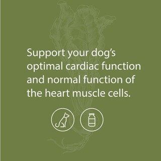 Foto 3 | Suplemento Para La Salud Cardíaca Del Perro Standard Process Canine Cardiac Support, 25 G - Venta Internacional.