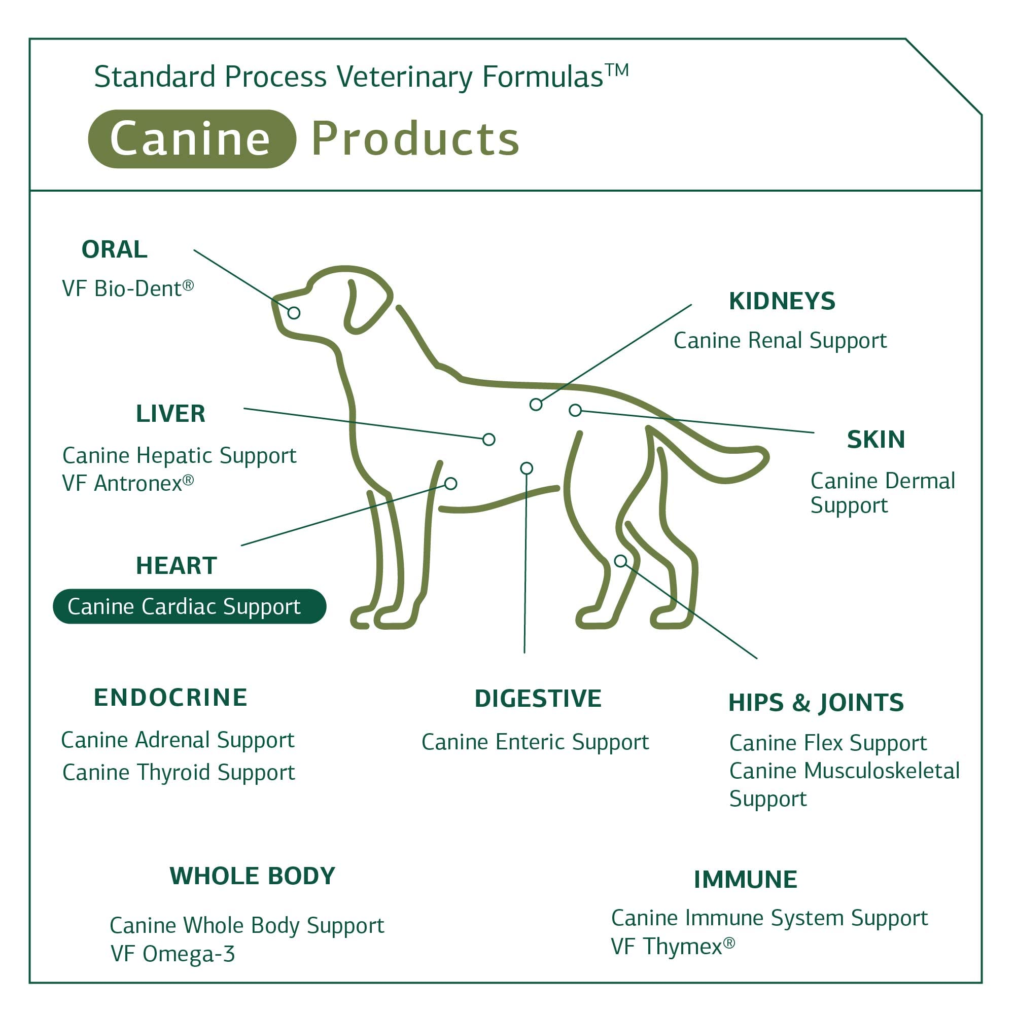 Foto 6 pulgar | Suplemento Para La Salud Cardíaca Del Perro Standard Process Canine Cardiac Support, 25 G - Venta Internacional.