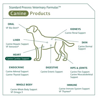 Foto 5 | Suplemento Para La Salud Cardíaca Del Perro Standard Process Canine Cardiac Support, 25 G - Venta Internacional.