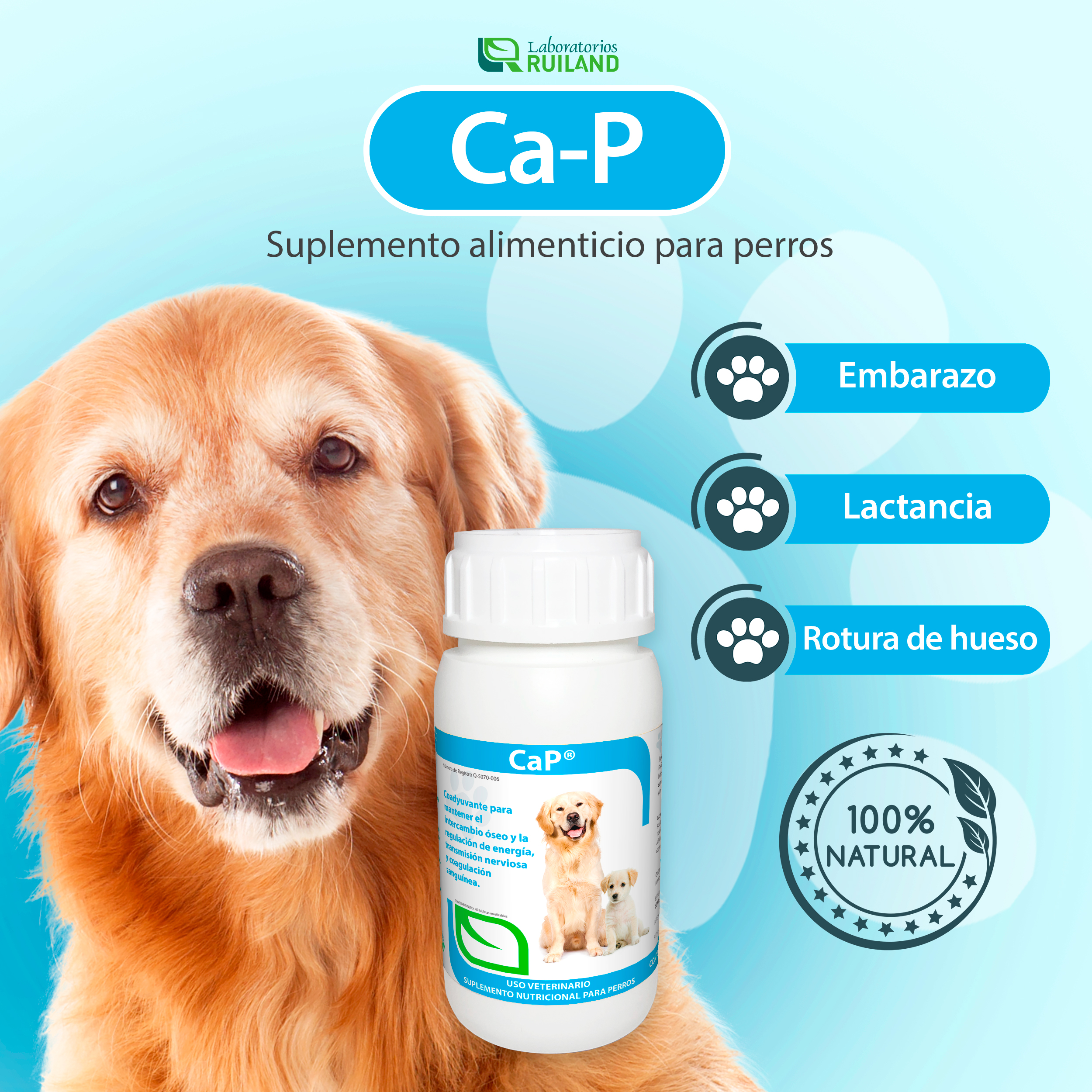 Foto 3 pulgar | Suplemento Nutricional para Embarazo y Lactancia con Vitaminas y Minerales para Mascotas