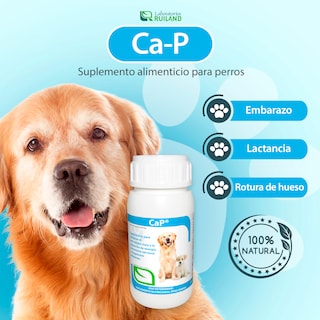 Foto 2 | Suplemento Nutricional para Embarazo y Lactancia con Vitaminas y Minerales para Mascotas