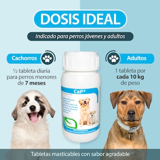 Foto 4 | Suplemento Nutricional para Embarazo y Lactancia con Vitaminas y Minerales para Mascotas