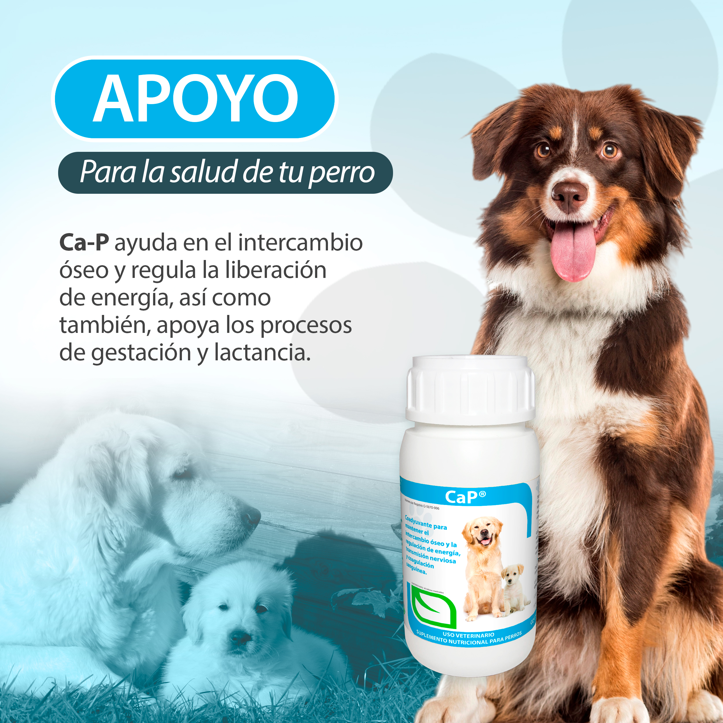 Foto 4 pulgar | Suplemento Nutricional con Vitaminas y Minerales en Tableta Masticable para Mascota