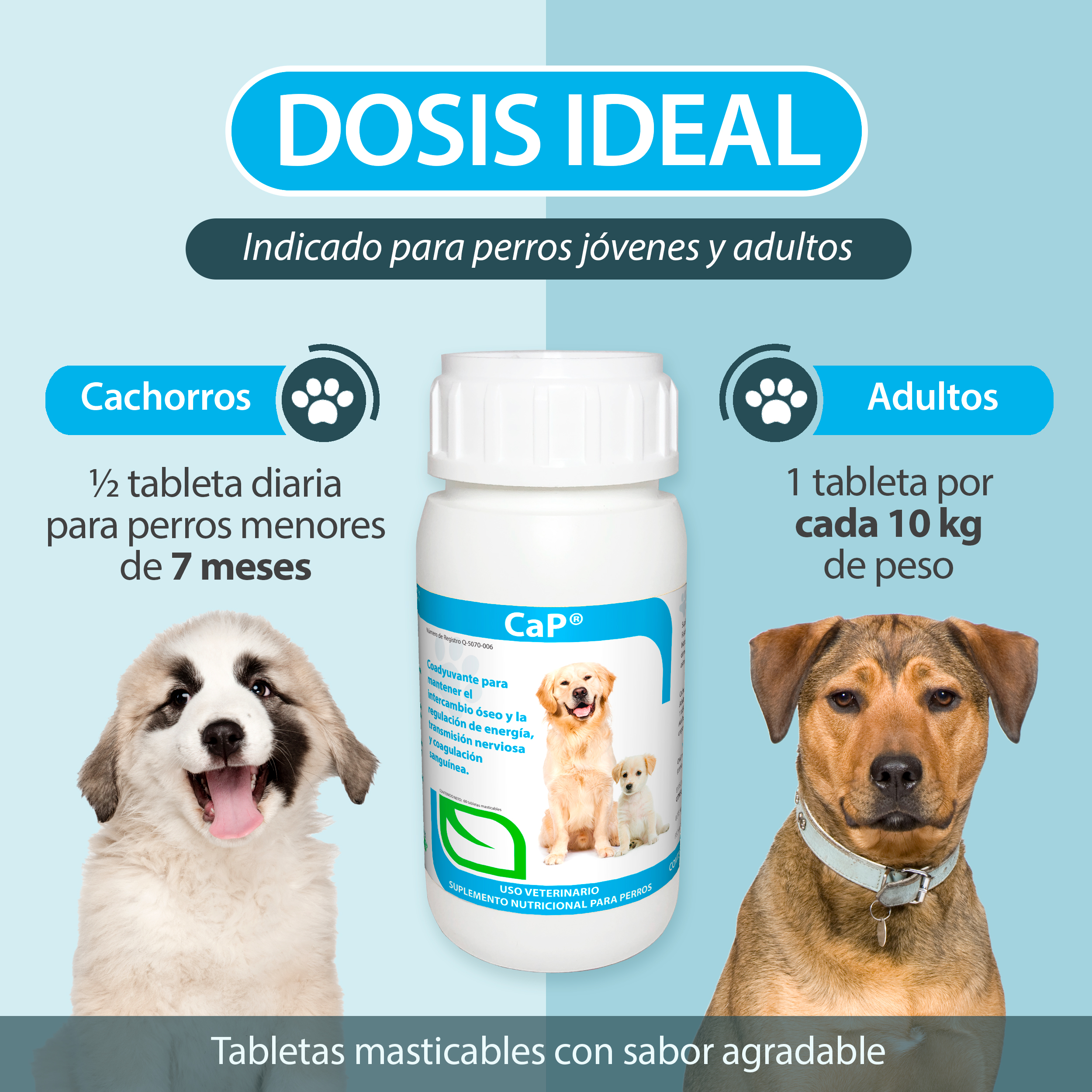 Foto 5 pulgar | Suplemento Nutricional con Vitaminas y Minerales en Tableta Masticable para Mascota