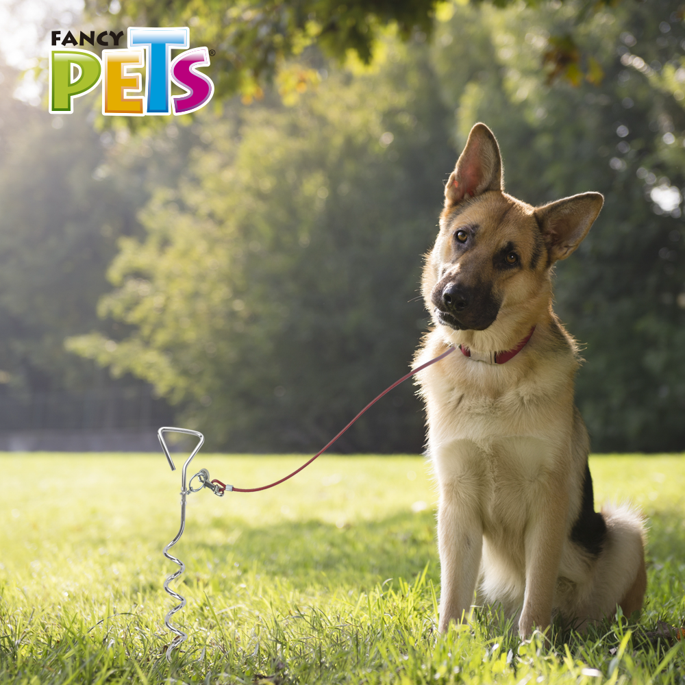 Foto 2 | Estaca para Sujetar Perros en Suelo de Tierra Fancy Pets FL9118