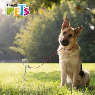 Foto 2 | Estaca para Sujetar Perros en Suelo de Tierra Fancy Pets FL9118