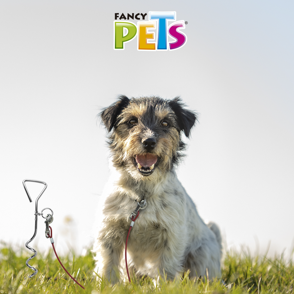 Foto 4 pulgar | Cable Galvanizado Fancy Pets FL9119 Rojo para Sujetar Perros 5 m