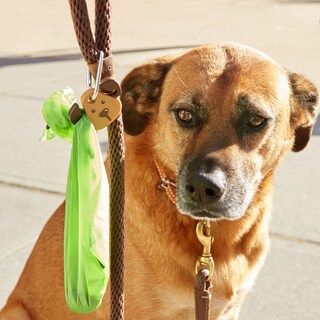 Foto 3 | Correa con Luz para Perros Kikkerland