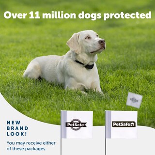 Foto 6 | Banderas Fronterizas Petsafe (paquete De 50) - Valla Invisib - Venta Internacional.