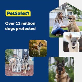 Foto 6 | Bobina Boundary Wire Petsafe De 500 Pies, Cobre Calibre 20, Enterrada - Venta Internacional.