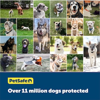 Foto 6 | Valla Para Mascotas Boundary Wire Petsafe, Bobina De 150 Pies, Calibre 20, Cobre - Venta Internacional.